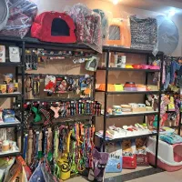 کارشناس فروش لوازم حیوانات خانگی پتشاپ