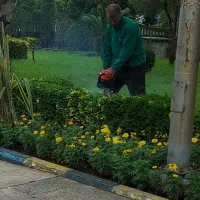 خدمات فضای سبز از صفر تا صد