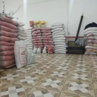 عرضه انواع برنج ایرانی پاکستانی و تایلندی گریدA وB|خوردنی و آشامیدنی|نورآباد, |دیوار