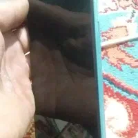 تاچ و ال سی دی گوشی شیامی MI 11 LITE 5G|موبایل|گلستان (تهران), |دیوار