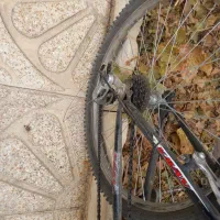 دوچرخه 24|دوچرخه، اسکیت، اسکوتر|بهار, |دیوار