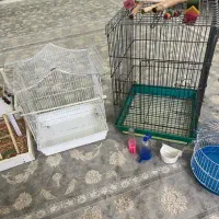 قفس و اسباب بازی پرنده