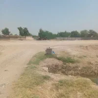 اجاره ۵ هکتار زمین کشاورزی پشت پمپ بنزین نساروند|اجارهٔ دفتر صنعتی، کشاورزی، تجاری|دزفول, |دیوار