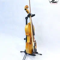 ویولن