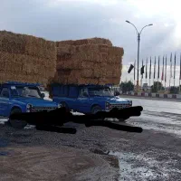 کاه و پرس گندم