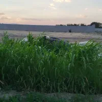مدارک گمشده