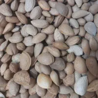 گردو بادام درجه یک|خوردنی و آشامیدنی|قم, منبع آب|دیوار