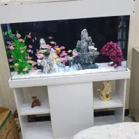 اکواریوم یک متری شیشه خم سالم تمیز