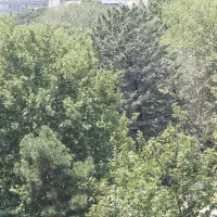 105 متر بلوار اوشان بدون مشرف مشجر سرمایه گذاری|فروش آپارتمان|تهران, شهرک گلها|دیوار