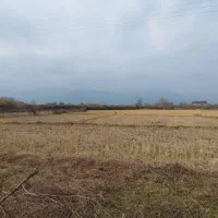 زمین-ساحلی-پلاک-اول-دریا