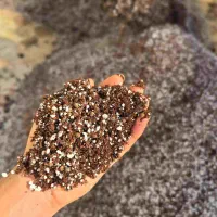 تعویض خاگ گیاهان آپارتمانی در منزل