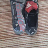 کفش پریدیتور۳۰بلینگهام|تجهیزات ورزشی|یاسوج, |دیوار