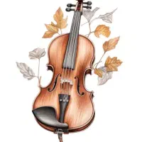 فیلم آموزشی ویولن قشقایی