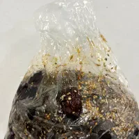 خرمای درجه یک کبکاب امسال|خوردنی و آشامیدنی|بهشهر, |دیوار