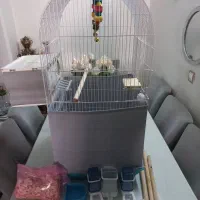 قفس پرنده