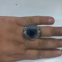 انگشتر شجر کلکسیونی تک