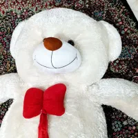 عروسک|اسباببازی|کلاترزان, |دیوار