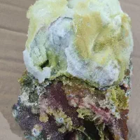 اشیا کلکسیونی|کلکسیون اشیاء عتیقه|قم, سالاریه|دیوار