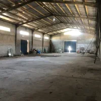 سوله  ۱۲۵۰ متر درخت سبز