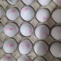 تخم مرغ مارکدار کارتنی