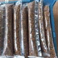 مغزیجات|خوردنی و آشامیدنی|داراب, |دیوار