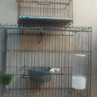 قفس پرنده تعدادی دست دوم