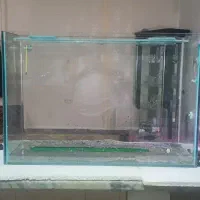 آکواریوم ماهی|ماهی|کرمانشاه, |دیوار