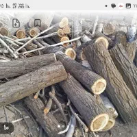 خرید وفروش انواع چوب تروخشک