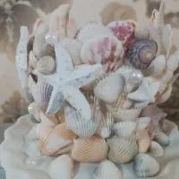 جاشمعی های صدفی