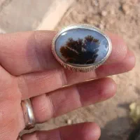 انگشتر شجر قاین 33گرم