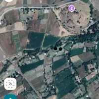 زمین کشاورزی سرواباد