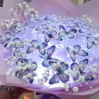 بوکت پروانه