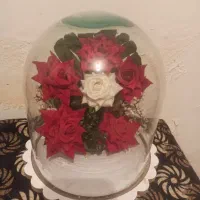 ظرف|ظروف سرو و پذیرایی|ملایر, |دیوار