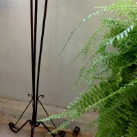 پایه گلدان فرفورژه ۳ عدد گلدان سرامیکی و کاکتوس|گل و گیاه طبیعی|تهران, نیروی دریایی|دیوار