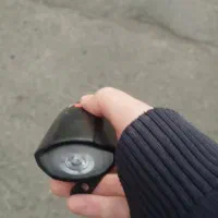 چراق بوق دار  سالم