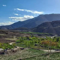 معاوضه زمین با دو عدد خودرو