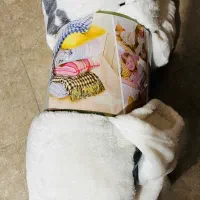 پتوی ژله ای