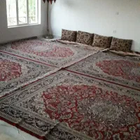 پنج عدد فرش ماشینی مینوس همرنگ|فرش|اهر, |دیوار