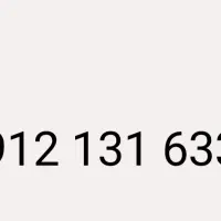 ۰۹۱۲۱۳۱۶۳۳۴