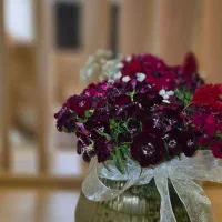 فضای اشتراکی برای وکلاء و کارآموزان|اجارهٔ کوتاه‌مدت دفتر کار و فضای آموزشی|کرج, عظیمیه|دیوار