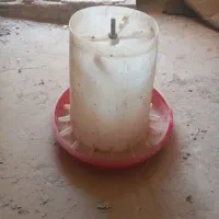 دون خوری