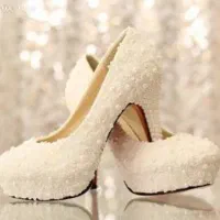 شیک پوشان بهترین کار