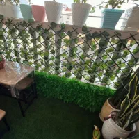 برگ انگوری /دیوارسبز