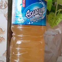 ابغوره طبیعی