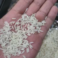 برنج هاشمی اعلا  ۱۸۰ کیلو