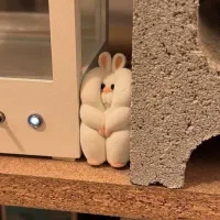 کیف مدارک وکارت شناسایی بنام‌حمیدالله رضایی گم شده