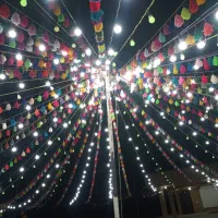 کرایه میز و صندلی ولامپ وگمپول وچمن|خدمات پذیرایی، مراسم|برازجان, |دیوار