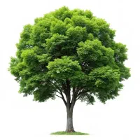 دوره جمع بندی زیست ویژه امتحانات نهایی و کنکور