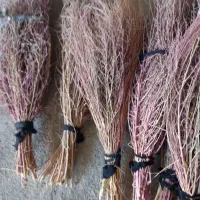 ۱۲ دسته جارو دسته ۵۰تومن روستایی کتوله ساری|لوازم نظافت|کوهدشت, |دیوار