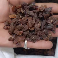 کشمش آفتابی/خوراکی/آبگیری/سایه خشک|خوردنی و آشامیدنی|گرگان, |دیوار